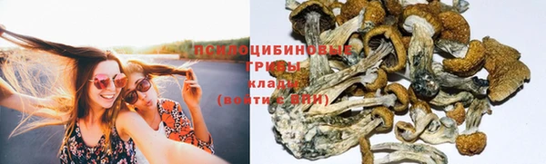 спиды Уссурийск