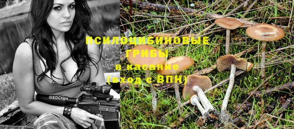 соль ск Вяземский